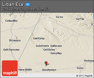 Shaded Relief Panoramic Map of Liban Esa