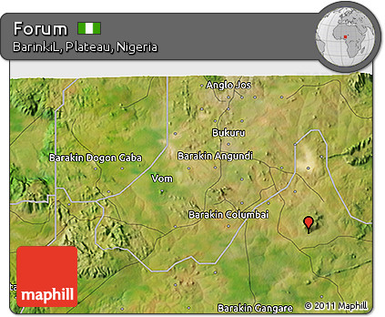 Satellite 3D Map of Forum