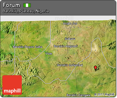 Satellite 3D Map of Forum