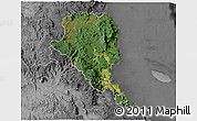 Satellite 3D Map of Douglas, desaturated