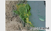 Satellite 3D Map of Douglas, semi-desaturated