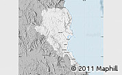 Gray Map of Douglas