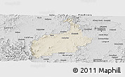 Shaded Relief Panoramic Map of Ipswich, desaturated