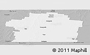 Gray Panoramic Map of Paroo