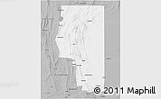 Gray 3D Map of Goyder
