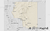 Shaded Relief Panoramic Map of Goyder, desaturated