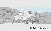 Gray Panoramic Map of Central Coast