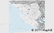 Gray Panoramic Map of West Coast