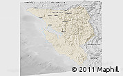 Shaded Relief Panoramic Map of West Coast, desaturated