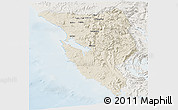 Shaded Relief Panoramic Map of West Coast, lighten