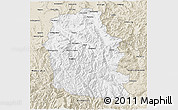 Classic Style 3D Map of Alpine