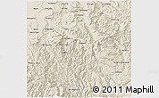 Shaded Relief 3D Map of Alpine