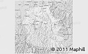 Silver Style 3D Map of Alpine