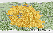 Savanna Style Panoramic Map of Alpine