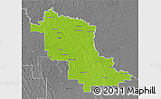 Physical 3D Map of Swan Hill, desaturated