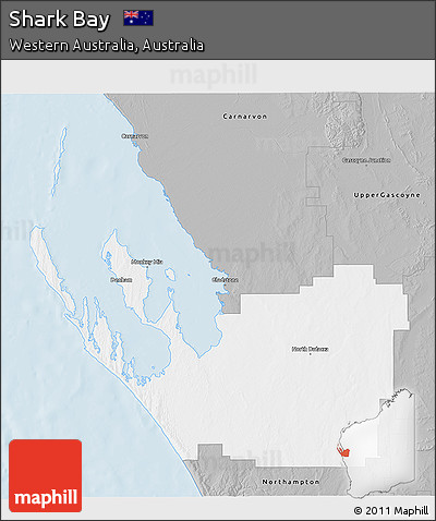 Gray 3D Map of Shark Bay