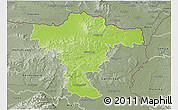 Physical 3D Map of Mistelbach, semi-desaturated