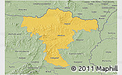 Savanna Style 3D Map of Mistelbach