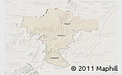 Shaded Relief 3D Map of Mistelbach, lighten