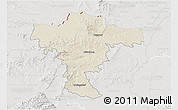 Shaded Relief 3D Map of Mistelbach, lighten, semi-desaturated