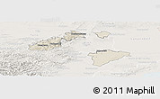 Shaded Relief Panoramic Map of Wien Umgebung, lighten