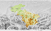 Physical 3D Map of Steyr-Land, lighten, desaturated