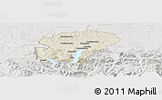 Shaded Relief Panoramic Map of Vocklabruck, lighten, semi-desaturated