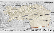 Shaded Relief 3D Map of Steiermark, desaturated