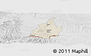 Shaded Relief Panoramic Map of Leibnitz, lighten, desaturated