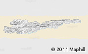Classic Style Panoramic Map of Liezen, single color outside