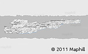 Gray Panoramic Map of Liezen, single color outside