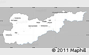 Gray Simple Map of Liezen, single color outside