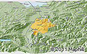 Savanna Style 3D Map of Feldkirch