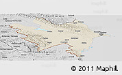 Shaded Relief Panoramic Map of Azerbaydzhan Territor, desaturated