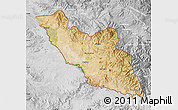 Satellite Map of Nakhichevan, lighten, desaturated