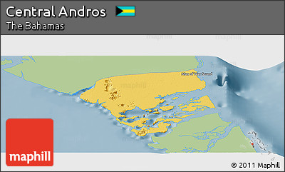 Savanna Style Panoramic Map of Central Andros, single color outside