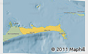 Savanna Style 3D Map of East Grand Bahama