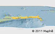 Savanna Style Panoramic Map of East Grand Bahama