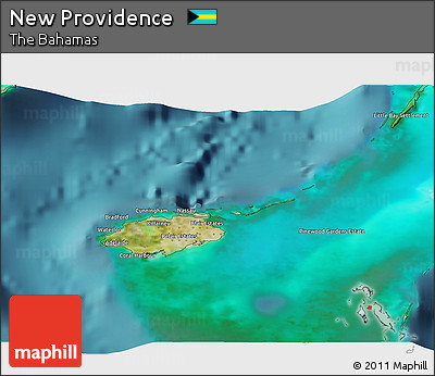 Satellite 3D Map of New Providence