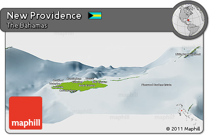 Physical Panoramic Map of New Providence, semi-desaturated