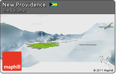 Physical Panoramic Map of New Providence, semi-desaturated