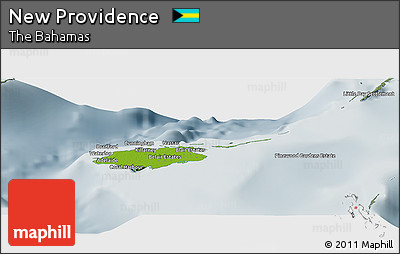 Physical Panoramic Map of New Providence, semi-desaturated