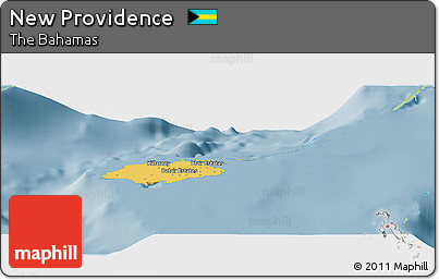 Savanna Style Panoramic Map of New Providence, single color outside