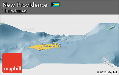 Savanna Style Panoramic Map of New Providence, single color outside