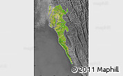 Satellite Map of Cox Bazar Zl, desaturated