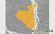 Political 3D Map of Sirajganj Zl, desaturated