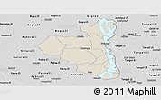 Shaded Relief Panoramic Map of Sirajganj Zl, desaturated