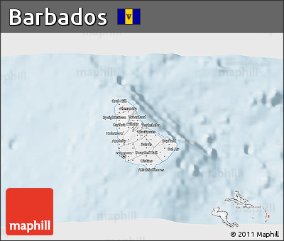 Gray 3D Map of Barbados