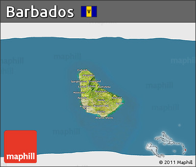 Satellite 3D Map of Barbados, desaturated, land only