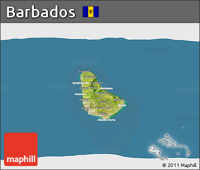 Satellite 3D Map of Barbados, lighten, desaturated, land only
